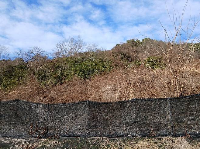시민들이 모금한 기금으로 조성한 무등산 공유화 부지 8곳 가운데 한 곳인 광주 동구 운림동 동적골 인근 산림 전경. 무등산보호단체협의회 제공