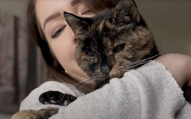 최고령 고양이 플로시. 기네스북