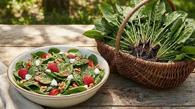 시금치, 케일 등 녹색 잎채소에는 뇌 건강에 도움을 주는 영양소가 풍부하다｜출처: Gemini 생성