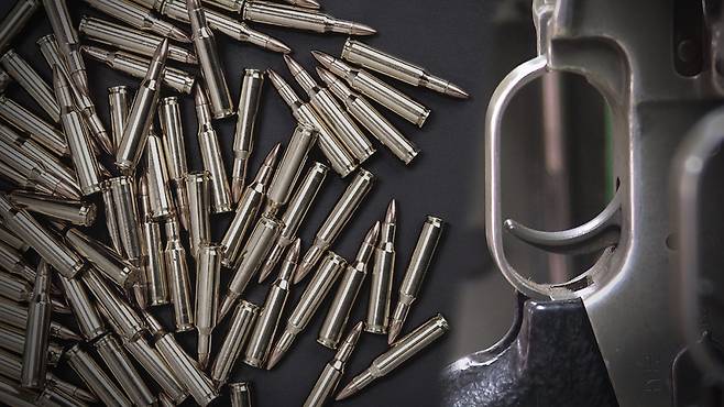 총과 실탄 [자료용 이미지]