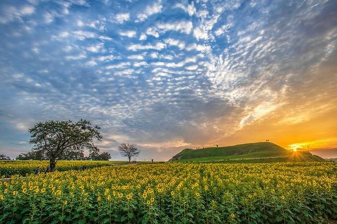 Horogoru Fortress in Yeoncheon-gun, Gyeonggi Province (Yeoncheon-gun)