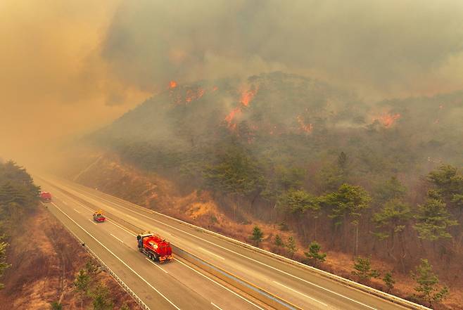 2025년 3월 산불로 통제된 고속도로 [연합뉴스]