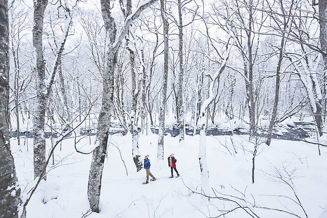 호시노 오이라세 계류 호텔 by 호시노 리조트에서 즐기는 스노우 하이킹
