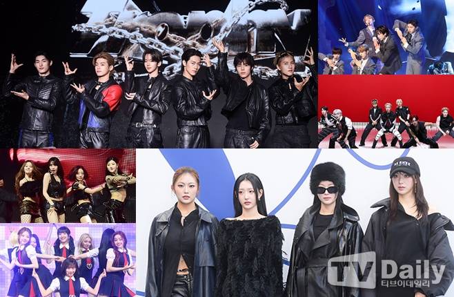 티브이데일리 포토