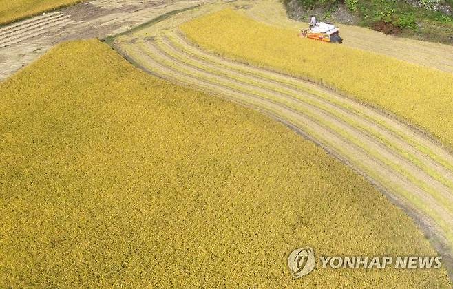 울주군 농촌 전경 [연합뉴스 자료사진]