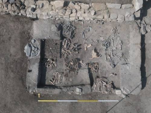 세운4구역 부지에서 발견된 소뼈 [한울문화유산연구원 제공. 재판매 및 DB 금지]