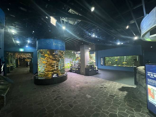 '대한민국 구석구석 2025 트렌드 어워즈 '에서 인기검색 지역 전국 2위·디지털관광주민증 발급률 3년 연속 1위를 차지한 단양군을 전국이 주목 하고 있다.(단양 다누리 아쿠아리움)