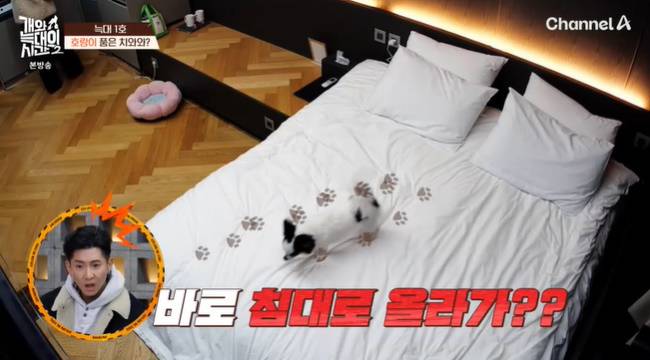 사진=채널A ‘개와 늑대의 시간 시즌2’ 캡처