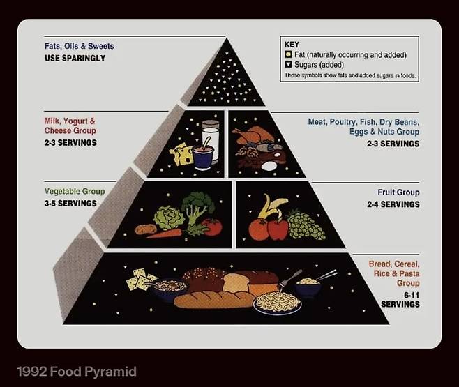 1992년 발표한 미국인 식이 가이드라인 식품 피라미드./realfood.gov
