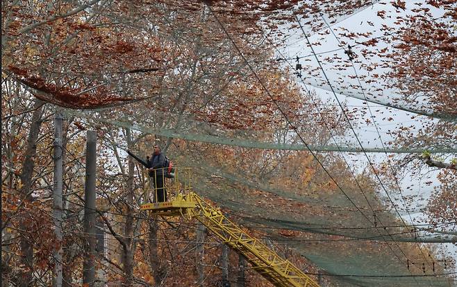 지난해 11월11일 우크라이나 헤르손. 도로를 덮은 드론 방어 그물에 낙엽이 쌓여서 시 공무원들이 동원돼 낙엽을 치우고 있다. 로이터 연합뉴스