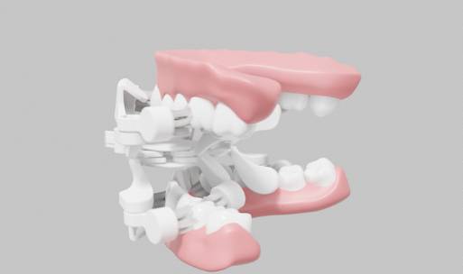 g.eN(ジェン) 내부 솔.  [사진=g.eN/kibidango]