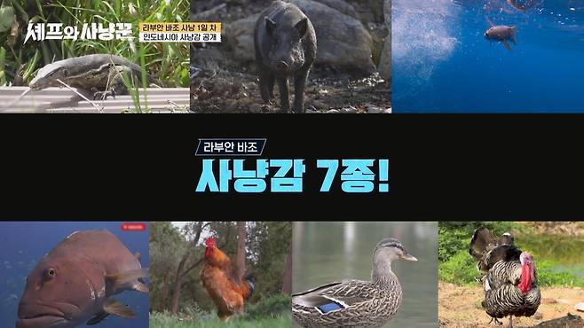 채널A ‘셰프와 사냥꾼’ 제공