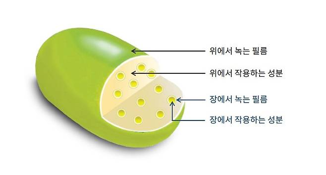 위와 장에서 단계적으로 작용하는 다층정 소화제｜출처: 하이닥
