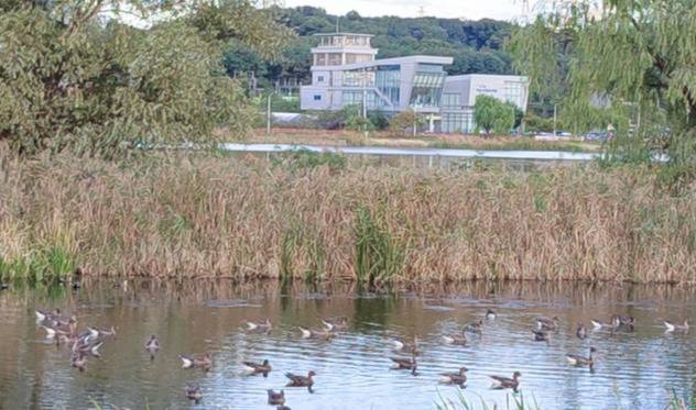 의왕시 왕송호수 전경. 경기일보DB