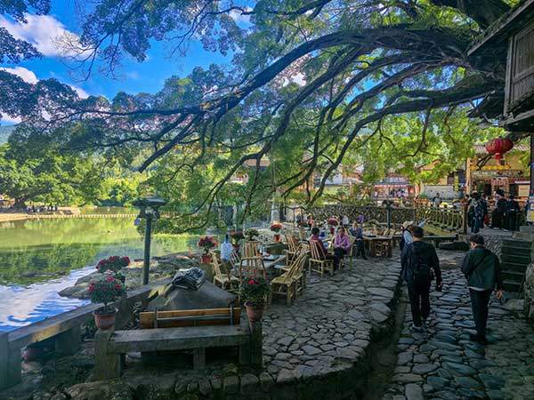 운수요 마을의 노상 식당. 강물과 용나무 노거수의 조화가 운치 있다.