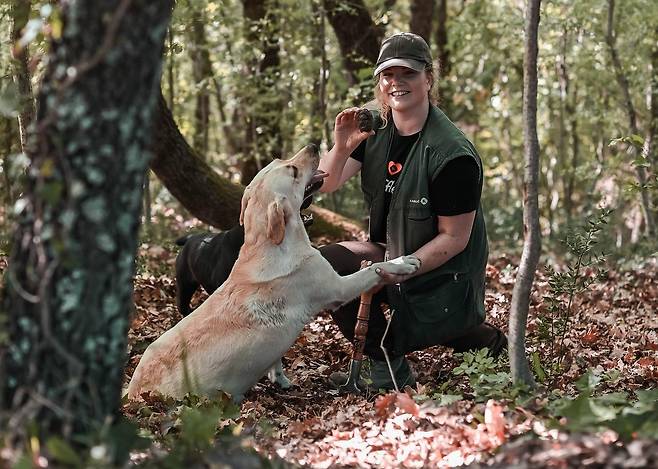 송로버섯 채취 현장. 사진제공|크로아티아관광청/CNTB