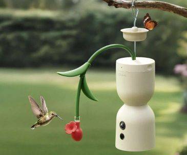 조류 관찰자를 위해 고안된 험 블룸 야생 조류 먹이통. 버드파이