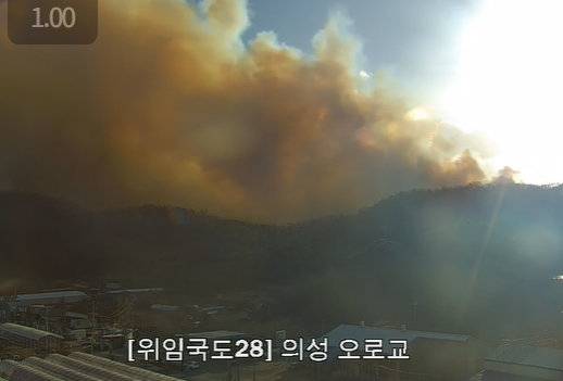 국가교통정보센터 엑스