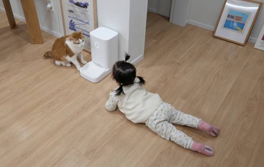 1년 전 새끼 고양이만 봐도 울던 아이가 이젠 친구네 대형 고양이 앞에서도 당당하게 대적할 정도로 컸다. 새삼 육아휴직 1년이 거의 다 지나간 게 와닿는다. /사진=최우영 기자