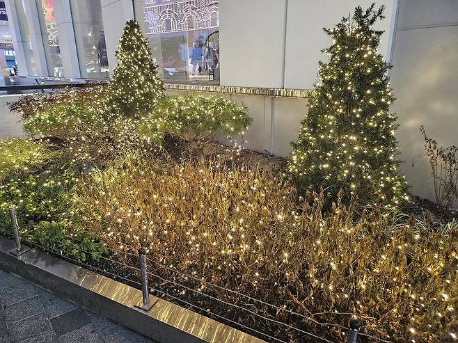 서울 중구 한 거리 화단에 조명이 빛나고 있다. 김광우 기자.