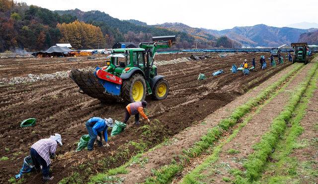 클립아트코리아