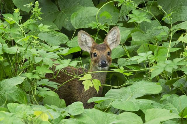 해당 사진은 기사와 무관함. 클립아트코리아