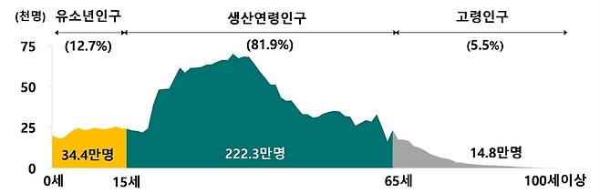 연령별 이주배경인구 [국가데이터처 제공]