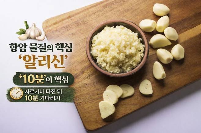 마늘을 자르거나 으깨면 항암물질인 알리신이 생성된다. 사진=클립아트코리아