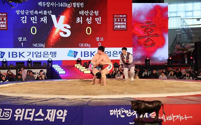 지난해 1월 충남 태안에서 개최된 2025 설날 장사 씨름대회 백두장사 결정전 모습. [사진 태안군]