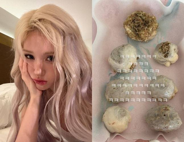 /사진=전소미 SNS