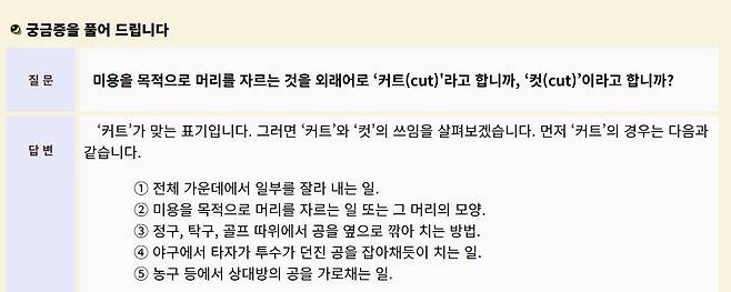 국립국어원 '새국어소식' 2004년 5월호 궁금증을 풀어 드립니다 <커트/컷> 문답  새국어소식 파일 내용 캡처