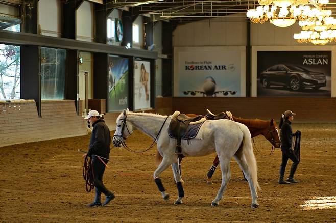 (롯데백화점 제공)