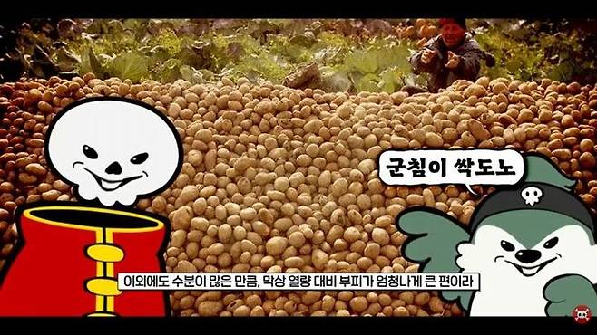 [서울=뉴시스] 지식 유튜브 채널 '지식해적단'이 11일 공개한 영상에서 감자가 싹이 난 장면에 "군침이 싹 도노" "싹났노 ㅠㅠ"라는 자막을 삽입해 논란이 일었다. (사진=유튜브 채널 '지식해적단' 캡처)2026.01.12.