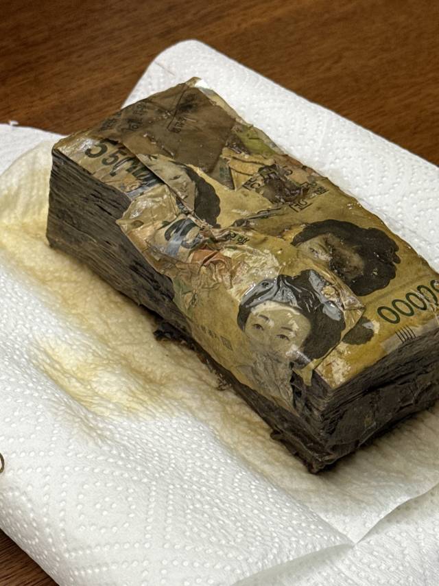 폐기된 화폐 모습. 사진 제공=한은