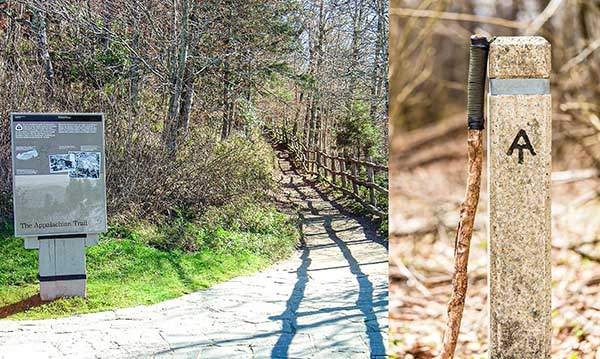 애팔래치아 트레일 뉴 파운드 갭 로드의 정상부를 애팔래치아 트레일이 지나간다. 흔히 ATAppalachian Trail (3,500km)라고 부르는 이 길은 PCTPacific Crest Trail (4,270km), JMT (350km)와 함께 미국의 3대 트레일이다. 애팔래치아 트레일을 완주하려면 1,000개가 넘는 봉우리를 넘어야 한다. 약 6개월이 걸리는 종주에 성공하는 사람은 출발한 사람들의 10% 이하다.