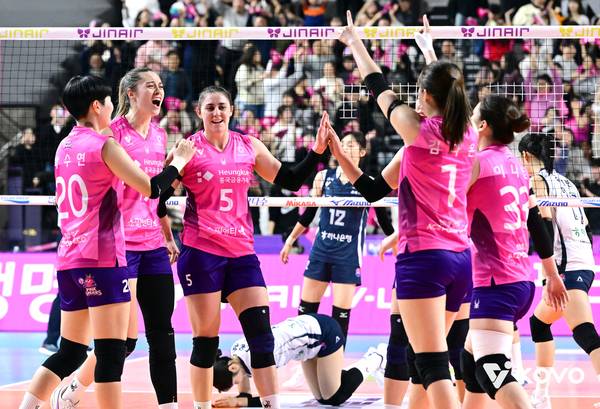 14일 인천 삼산체육관에서 한국도로공사에 승리한 인천 흥국생명 핑크스파이더스./KOVO 제공