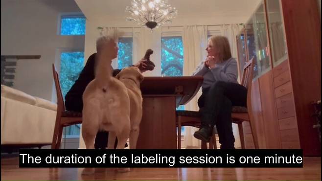 1단계에서는 ‘엿듣기 상황’을 가정해, 보호자가 개와 상호작용을 하지 않은 채 다른 가족 구성원과 대화하며 장난감의 이름을 언급했다. 샤니 드로르/사이언스 제공