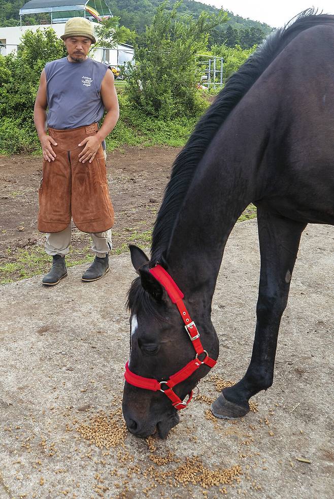 Snow, a retired racehorse, eats feed provided by Kim at a pasture at Mare Forest. (Courtesy of Kim)