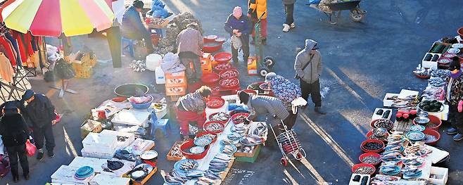 보성 벌교의 상설시장은 아케이드 지붕이 있는 실내 시장이지만 4, 9일 장날에는 주차장과 도로 위로 난전이 밀려 나오는 오일장이 된다. 벌교 장날에 이른 새벽부터 좌판에 갯것들을 부려놓은 모습. 이날 부지런한 장꾼들이 장에 나오기 시작한 시간이 새벽 3시 반이었다.