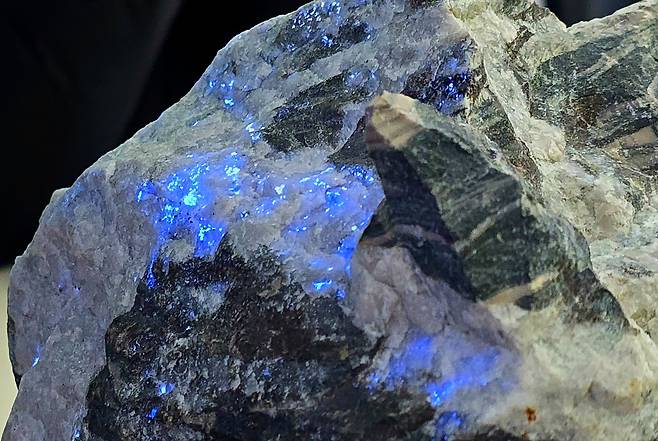 후래쉬를 비치면 암석에 함유된 텅스텐이 모습을 드러낸다. 흰 보석, 푸른 보석으로도 불린다[영월=함영훈 기자]
