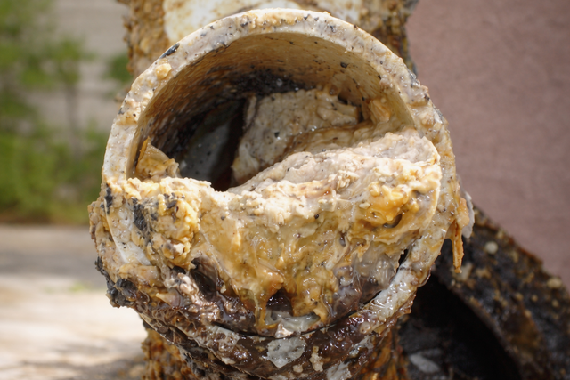 물티슈와 쓰레기로 이뤄진 팻버그(fatberg)가 하수구를 막고 있다. Smart Water Magazine