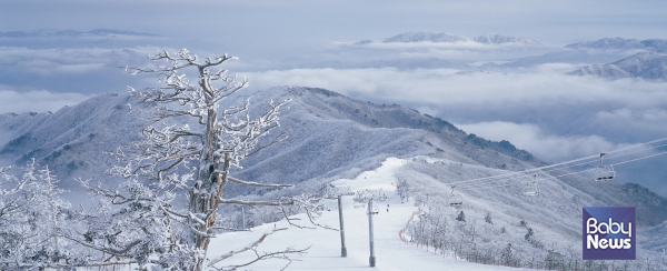 무주덕유산리조트 설천봉 슬로프 전경. ⓒ부영그룹 무주덕유산리조트