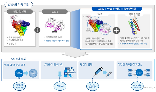 SAFA의 작용 기전(자료=에이프릴바이오)