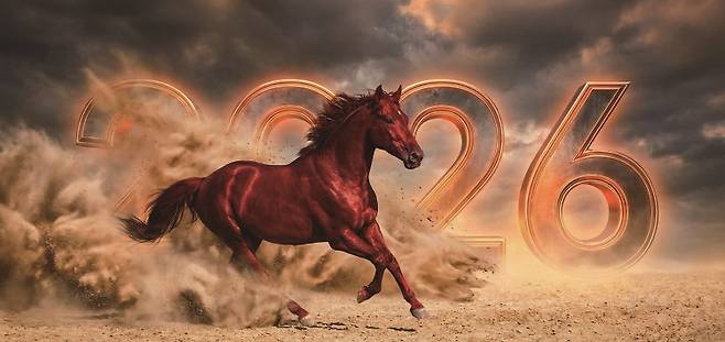 /사진 제미나이