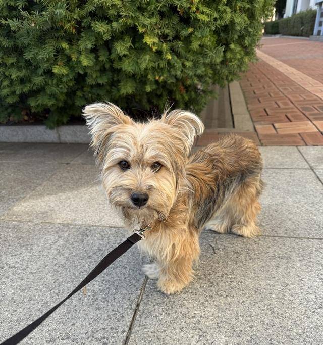 금돌이는 파워 E성향! 보호자 제공