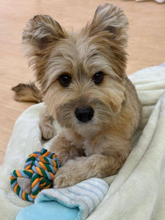 금돌아, 넓은 세상을 보여줄게! 보호자 제공