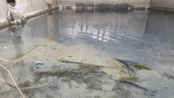 16일 인천 부평구 굴포천 상류 하수박스 앞. 반쯤 묻혀있는 우산 쓰레기 위에는 이끼로 덮여있고 주변은 악취로 진동하고 있다. 장민재 기자