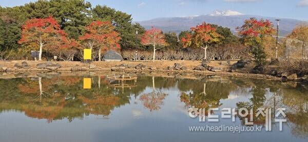 서귀포 비경 속으로 (사진=강철수)