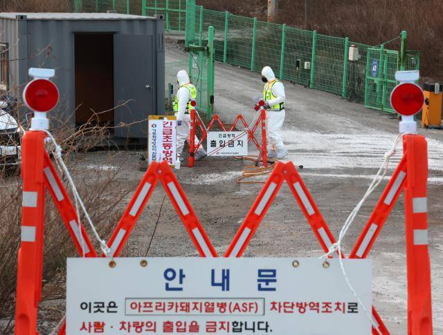 17일 아프리카돼지열병(ASF) 발생이 확인된 강원 강릉시 한 양돈농가에서 방역 관계자들이 출입을 통제하고 있다. [사진=연합뉴스]