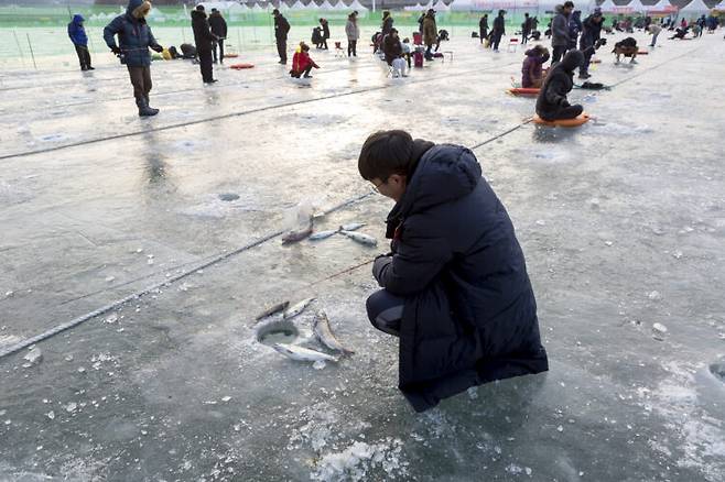 얼음 위에 구멍을 뚫고 직접 낚아 올리는 손맛, 그 자리에서 즐기는 제철 생선의 담백한 맛은 지금 아니면 경험하기 어렵다. 사진=클립아트코리아